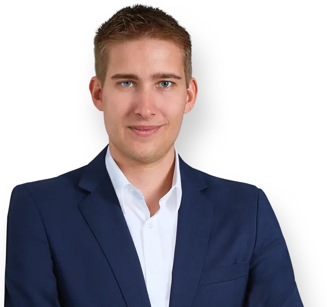 Portrait of Peter Siegel, Development